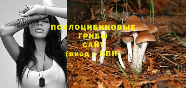 бутират Армянск