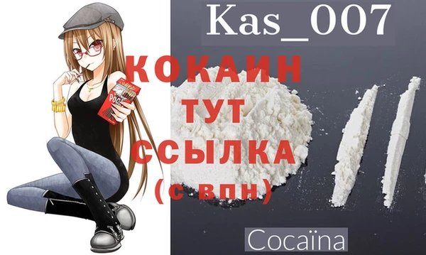 мяу мяу мука Аркадак